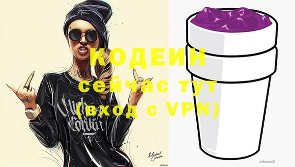 соль ск Арсеньев
