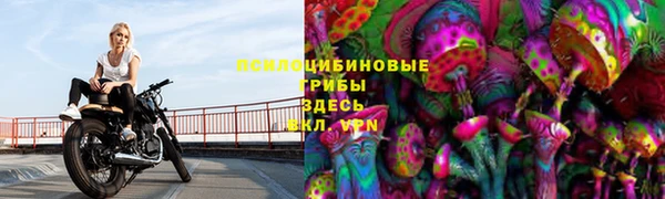 соль ск Арсеньев