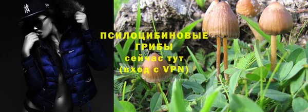 Альфа ПВП Балабаново