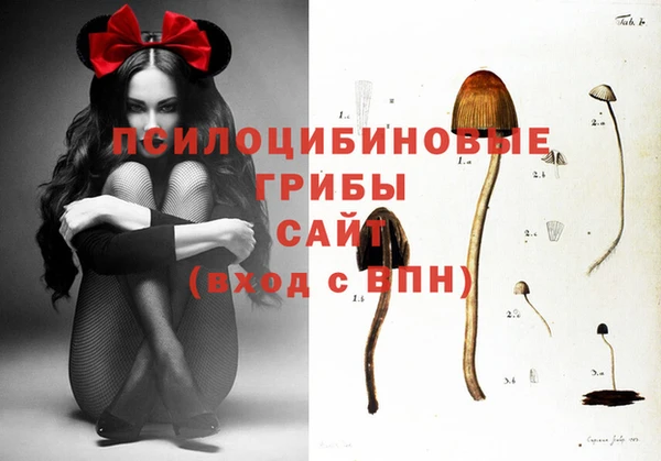 твердый Армянск